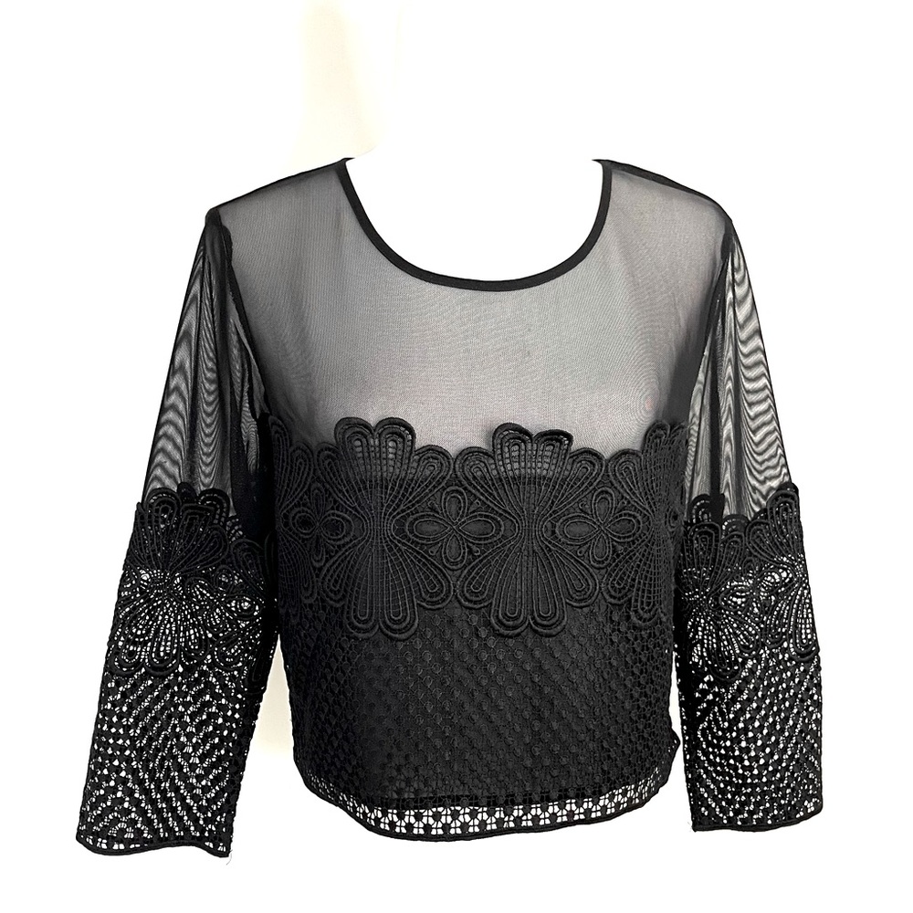 UK Black Embroidered Lace With Sheer Top